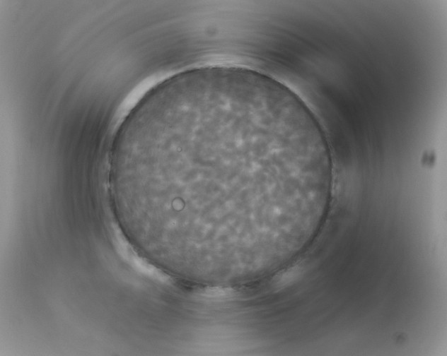 X0000113081094200909182043