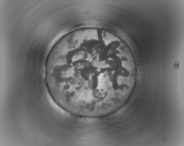 X0000113081095200909182043