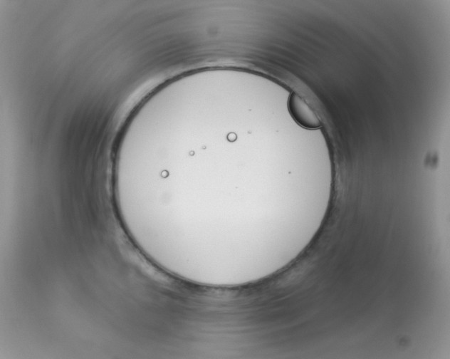 X0000113081096200909182043