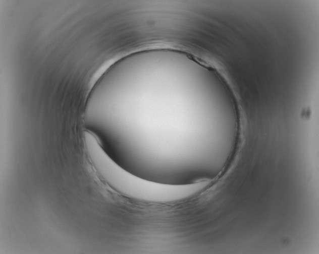 X0000113081097200909182043