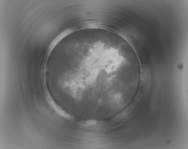 X0000113081098200909182043