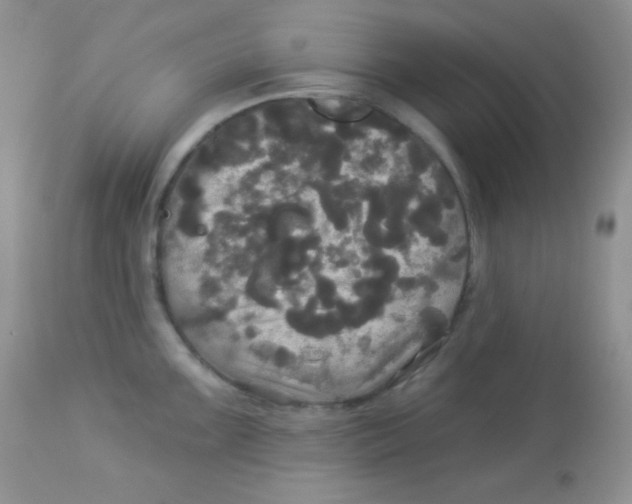 X0000113081099200909182043