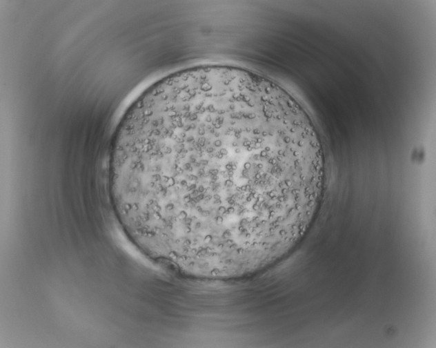 X0000113081100200909182043