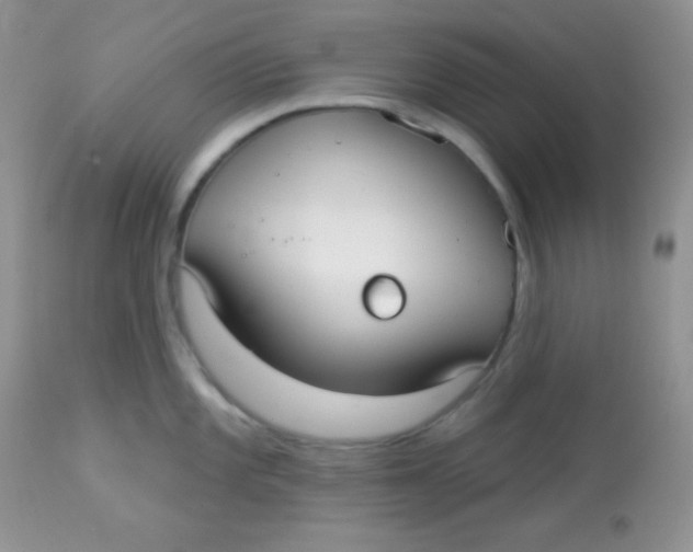 X0000113081101200909182043