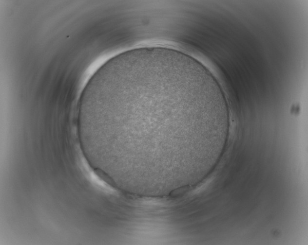 X0000113081102200909182043