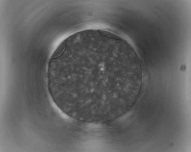 X0000113081103200909182043