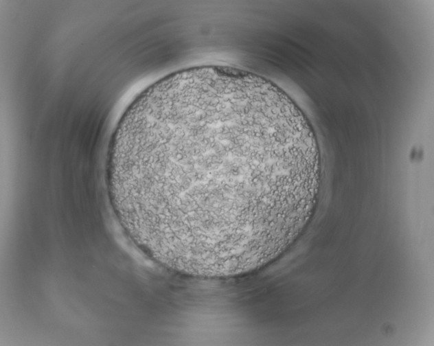 X0000113081104200909182043