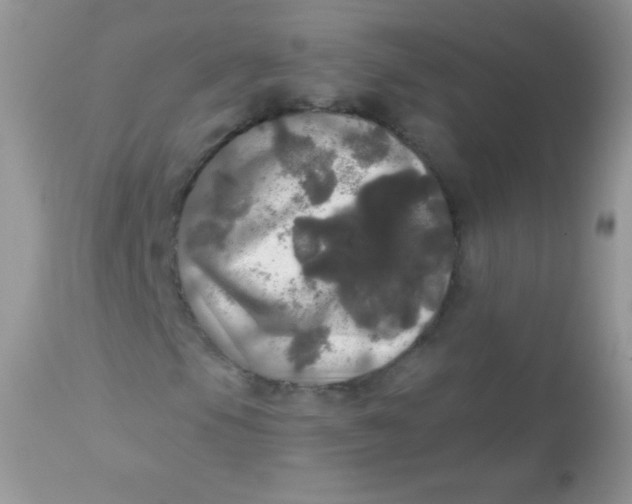 X0000113081105200909182042