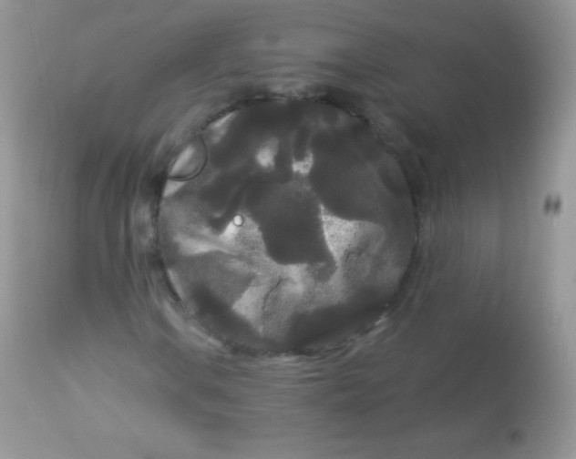 X0000113081106200909182042