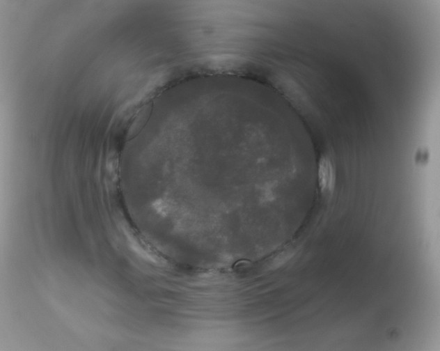 X0000113081107200909182042