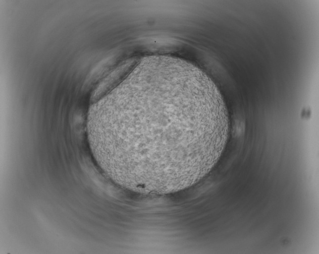 X0000113081108200909182042