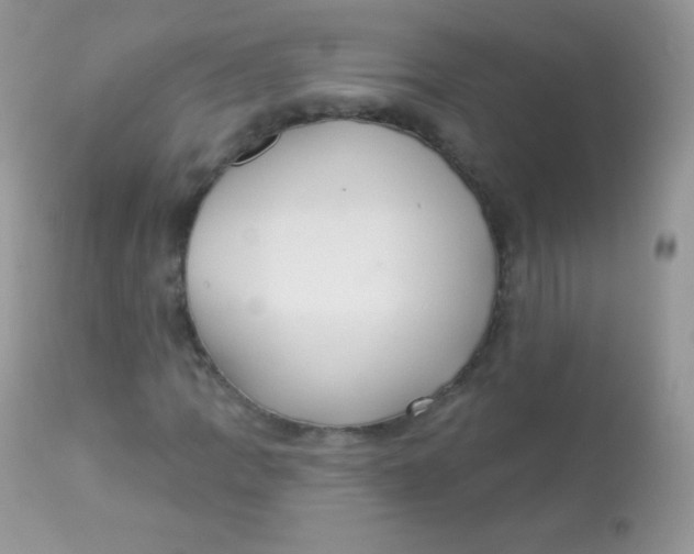 X0000113081109200909182042