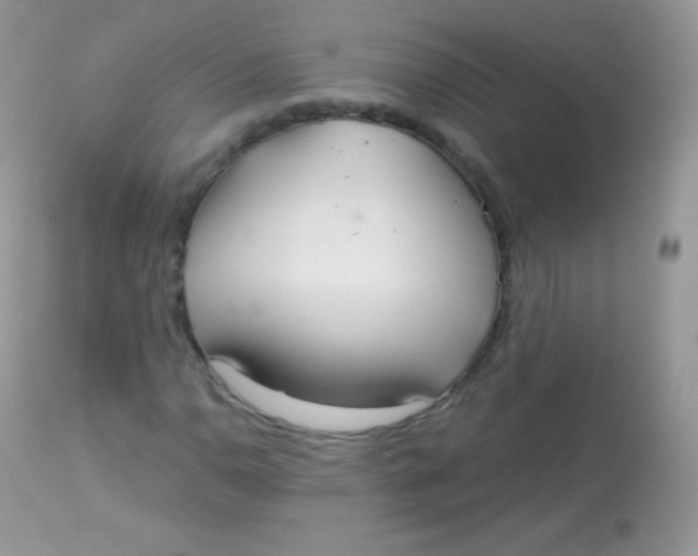 X0000113081110200909182042