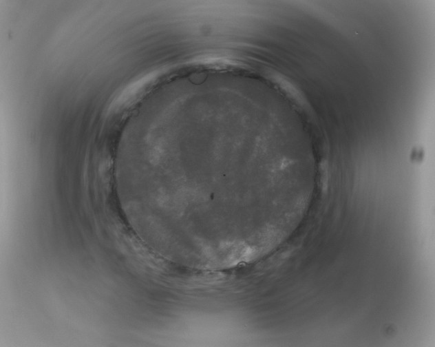 X0000113081111200909182042