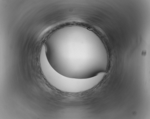 X0000113081112200909182042