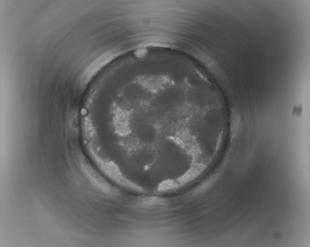 X0000113081113200909182042