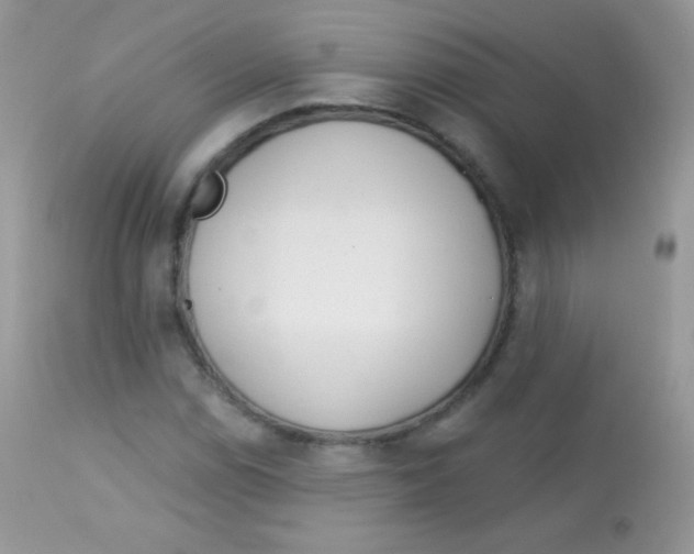 X0000113081114200909182042