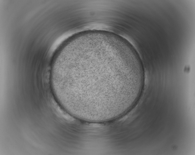 X0000113081115200909182042