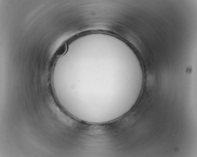 X0000113081116200909182042