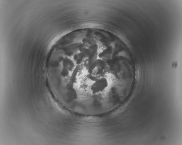 X0000113081117200909182042