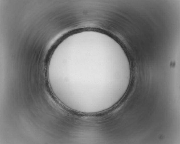 X0000113081118200909182042