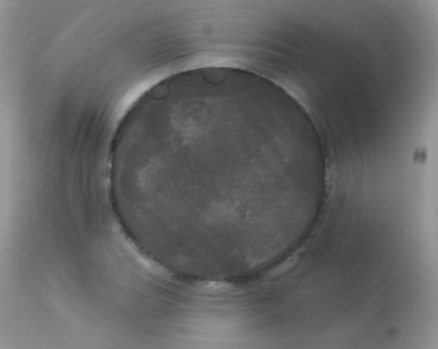 X0000113081119200909182042