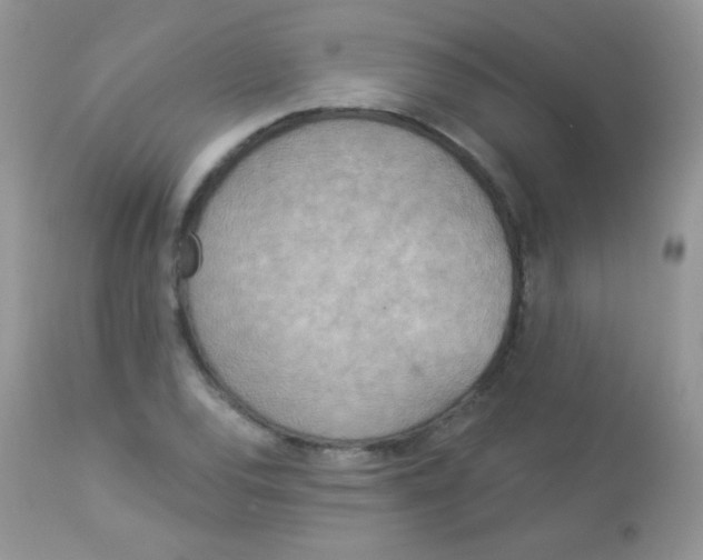 X0000113081120200909182042