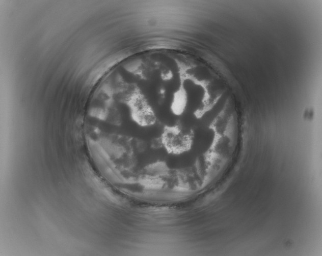 X0000113081121200909182042