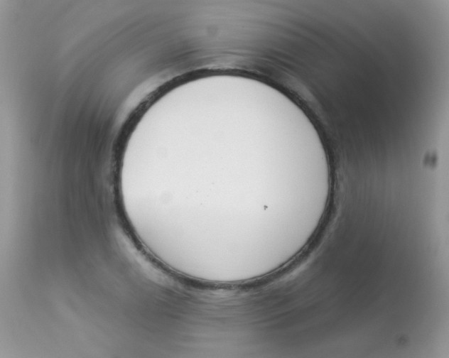 X0000113081122200909182042