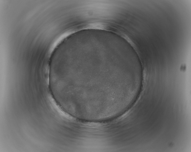 X0000113081123200909182042