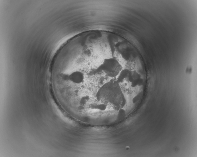 X0000113081125200909182042