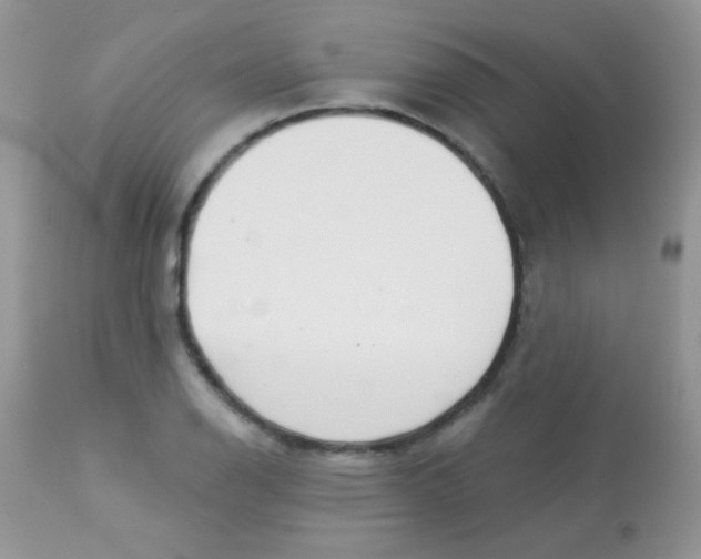 X0000113081126200909182042