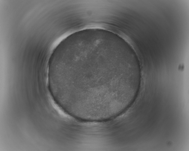 X0000113081127200909182042