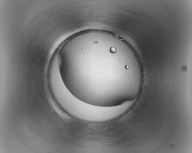 X0000113081128200909182042