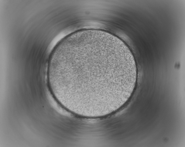 X0000113081130200909182042