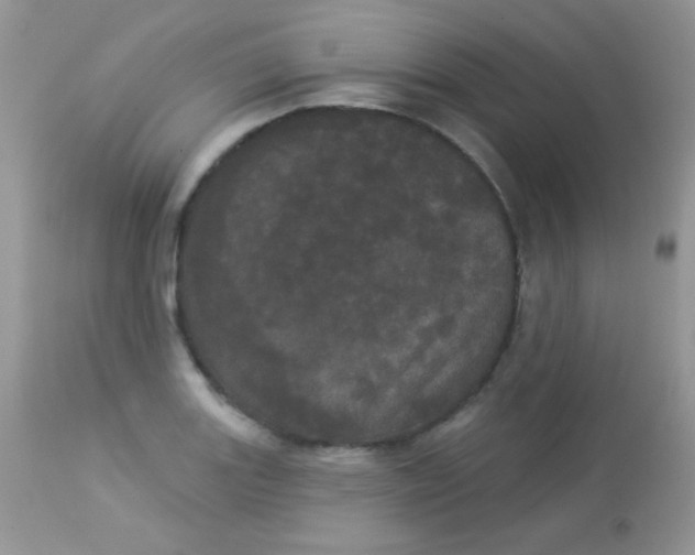 X0000113081131200909182043