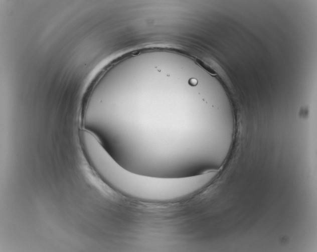 X0000113081132200909182043