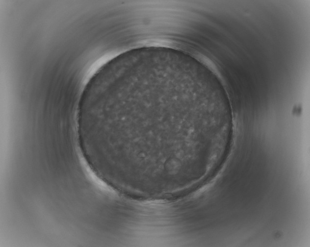 X0000113081133200909182043