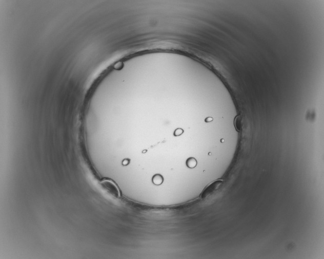 X0000113081134200909182043