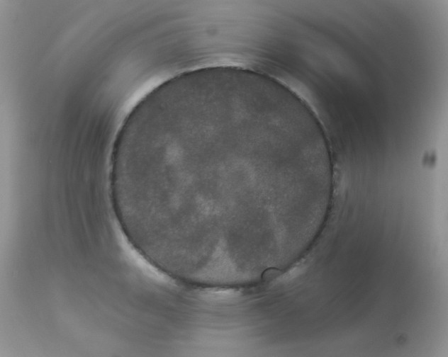 X0000113081135200909182043