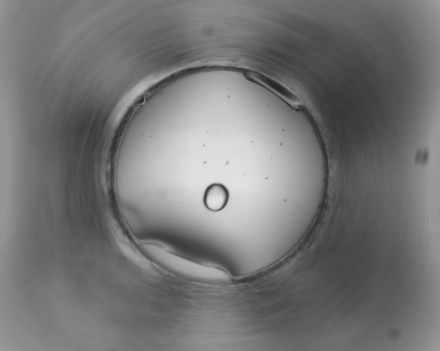 X0000113081136200909182043