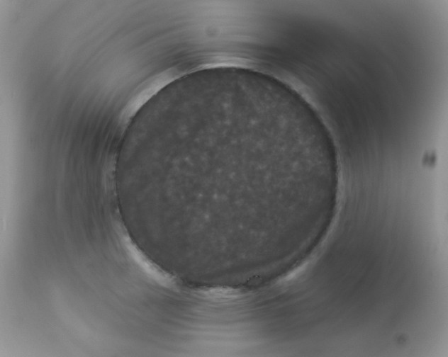 X0000113081137200909182043