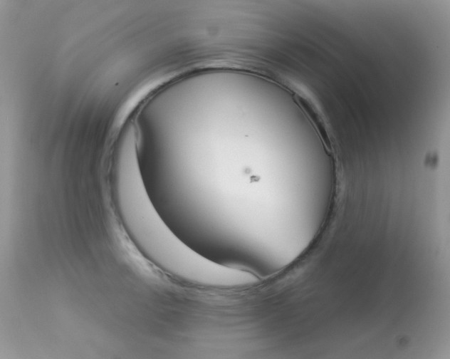 X0000113081138200909182043