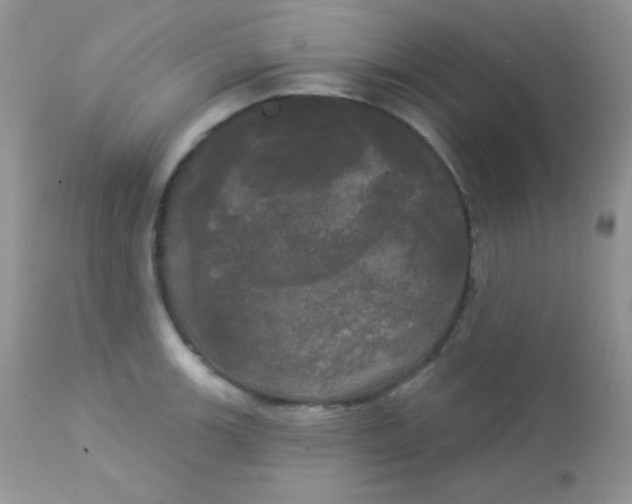 X0000113081139200909182043