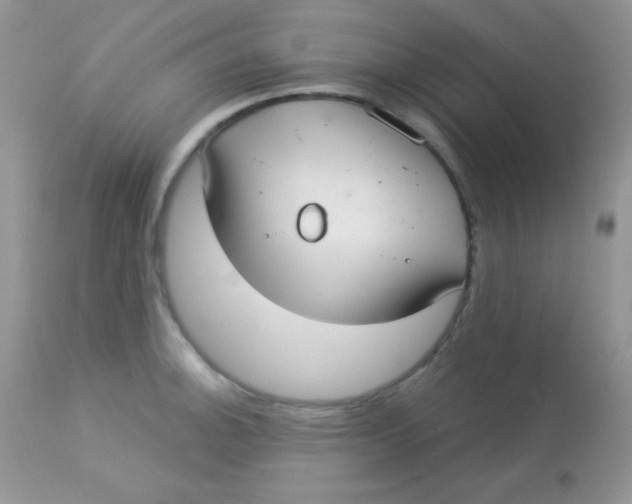 X0000113081140200909182043