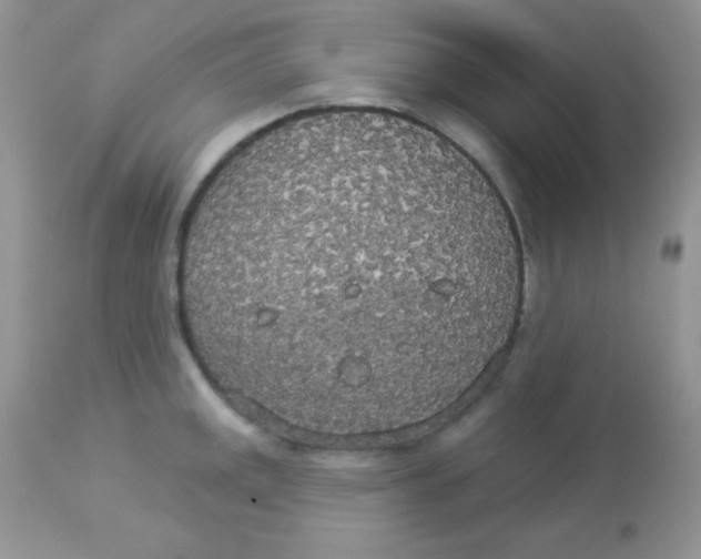 X0000113081141200909182043