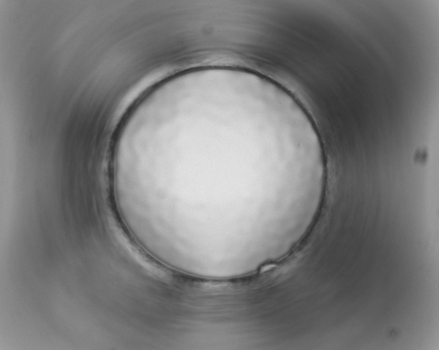 X0000113081142200909182043