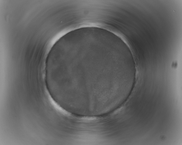 X0000113081143200909182043