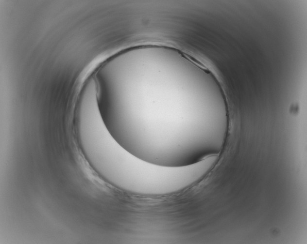 X0000113081144200909182043