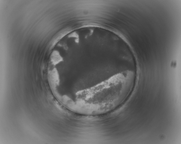 X0000113081145200909182043